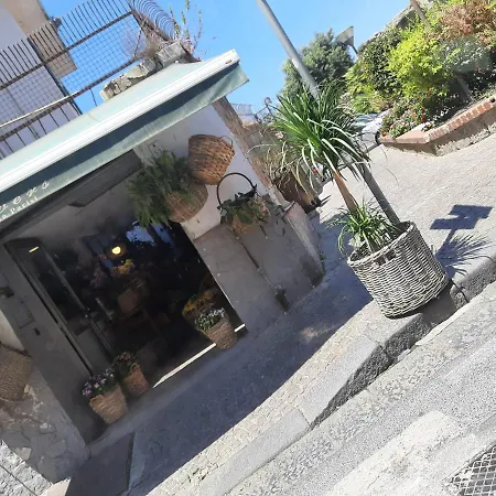 招待所 Casa Caprice *